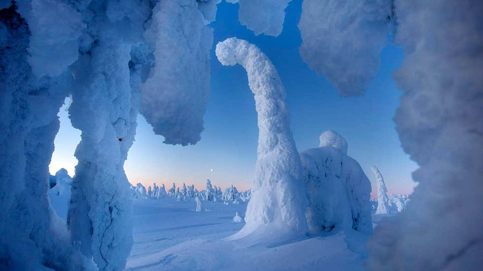 Estas formações naturais de neve na Finlândia parecem mesmo dinossauros ...