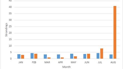 Comparison of average monthly bottlenose dolphin strandings (2010-2017) to monthly bottlenose dolphin strandings in 2018. (NOAA Fisheries)