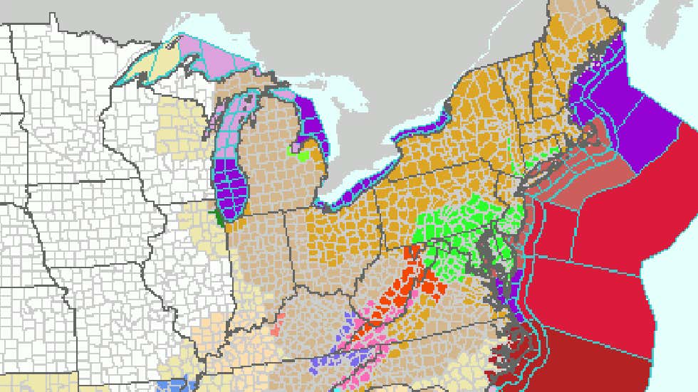 Superstorm Sandy's Stunning Snow | Weather.com