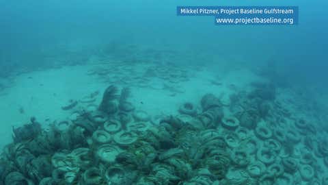 Florida's 'Tire Reef' Has Turned Into an Environmental Disaster | The ...