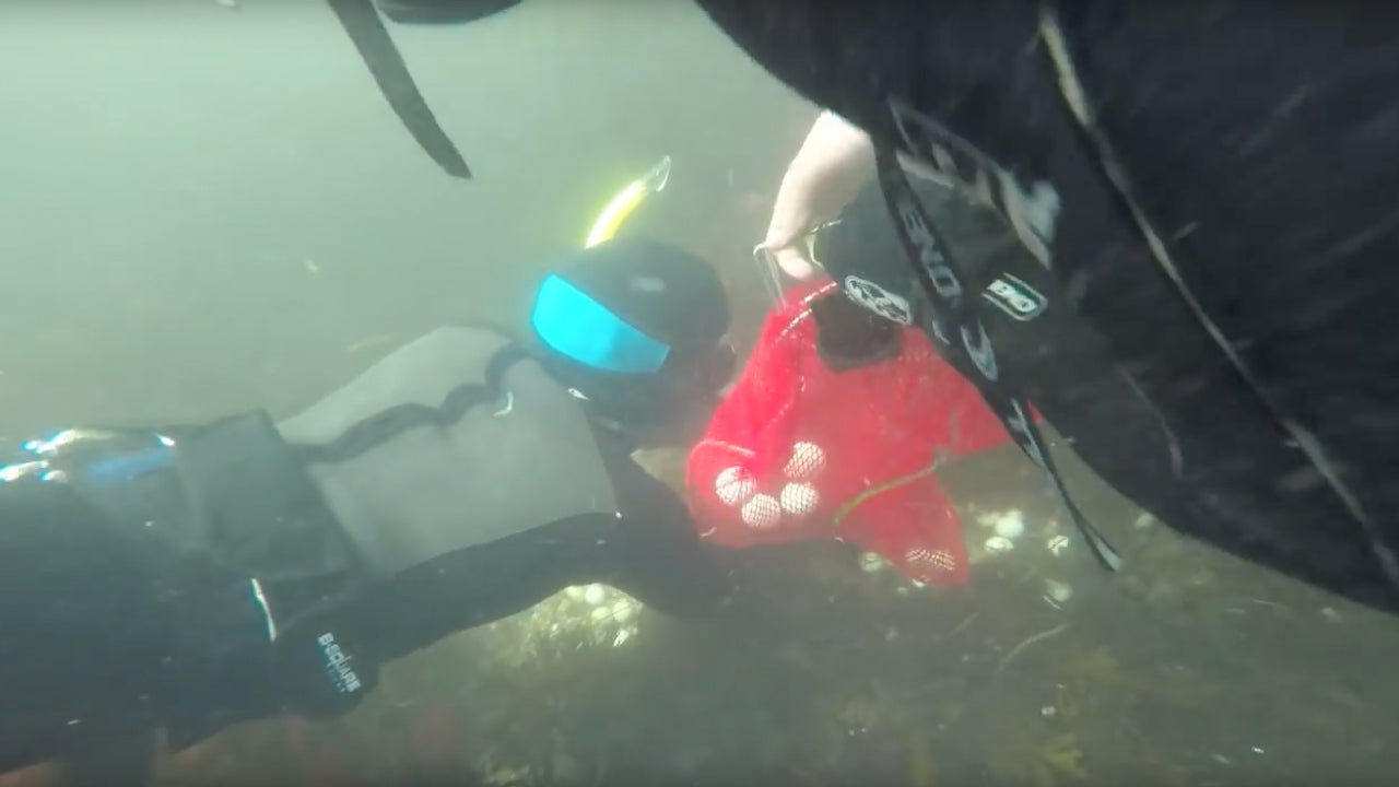 Golf Balls Hit into the Ocean Contribute to Microplastic Pollution. One