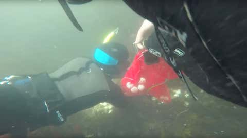 Golf Balls Hit into the Ocean Contribute to Microplastic Pollution. One