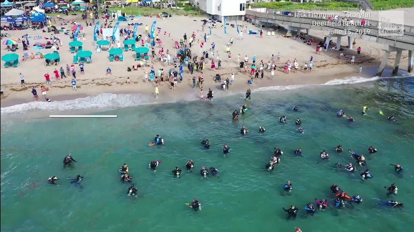 633 Divers Set World Record Cleaning Sea Floor Off