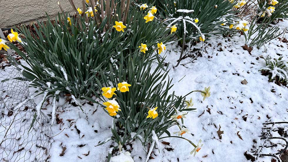 Spring Snow Is Needed For Upper Midwest Drought | Weather.com