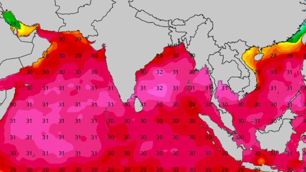 SSTs in North Indian Ocean, 6Z 5/12/20