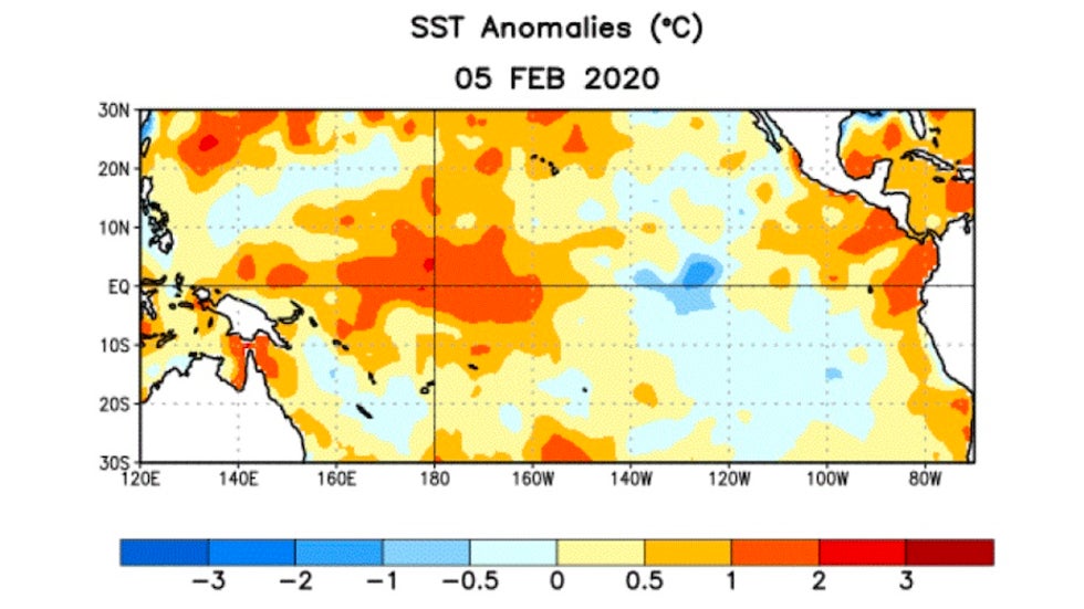SSTs in tropical Pacific for Feb. 2-8, 2020