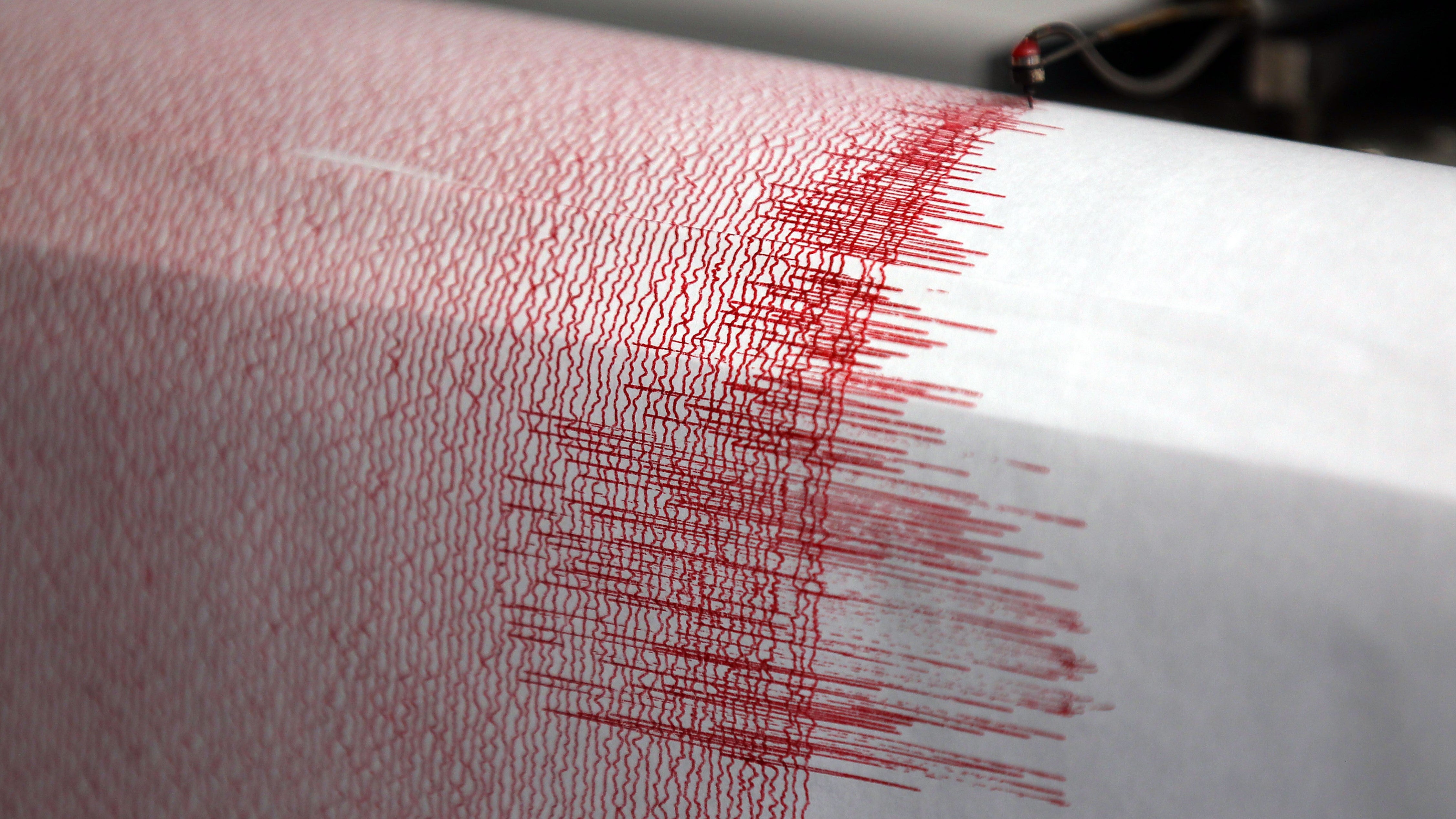  Der Seismograph der Erdbebenwarte in Bergisch-Gladbach verzeichnet am 14.02.2011 Ausschl&auml;ge. (zu dpa &laquo;Leichtes Erdbeben rei&szlig;t Anwohner aus dem Schlaf&raquo; vom 28.09.2017)) Foto: Oliver Berg/dpa +++(c) dpa - Bildfunk+++ 
