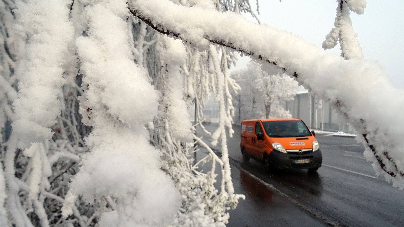 Schneebedeckt sind in Asperg (Baden-W&uuml;rttemberg) Zweige von B&auml;umen. Bei dem Wetterph&auml;nomen handelt es sich nach Aussagen des Deutschen Wetterdienstes um "Industrieschnee", der von Wasserdampf aus Industrieanlagen stammt