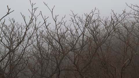 Though photographer Andres Gallardo Albajar wasn't used to shooting in cold and humid conditions, he was more than satisfied with the results of his trip to the Great Wall of China. He captured the wall blanketed under an eerie fog, hiding the iconic 13,000 mile long piece of architecture. (Andres Gallardo Photography)