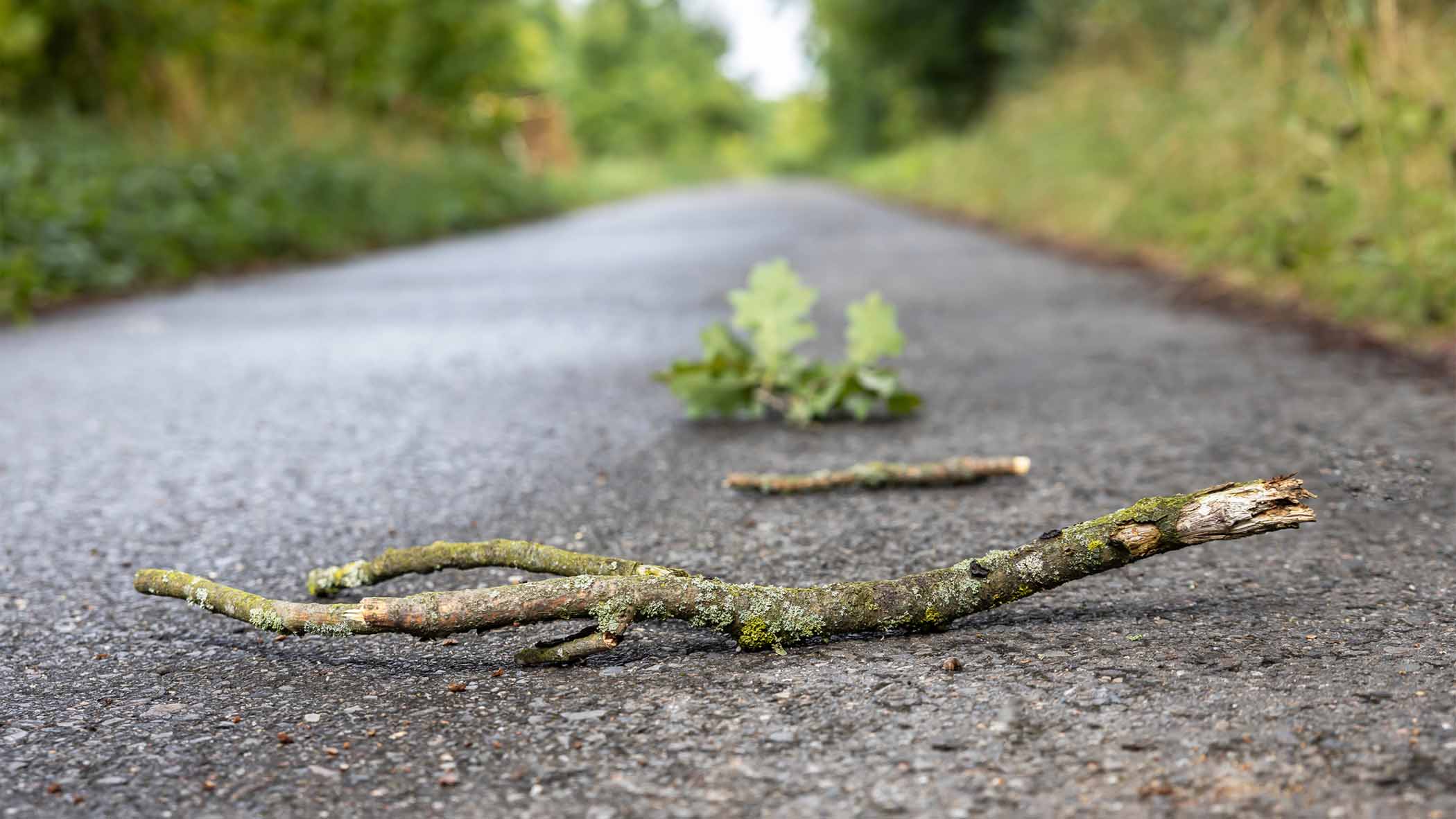 Weather Words: 'Windling' | Weather.com