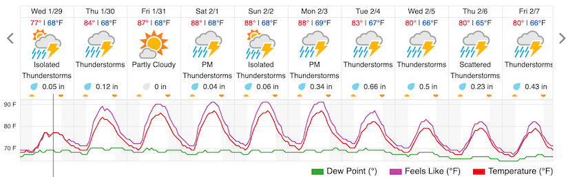 Weather Underground forecast for Belo Horizonte, issued 1/29/20