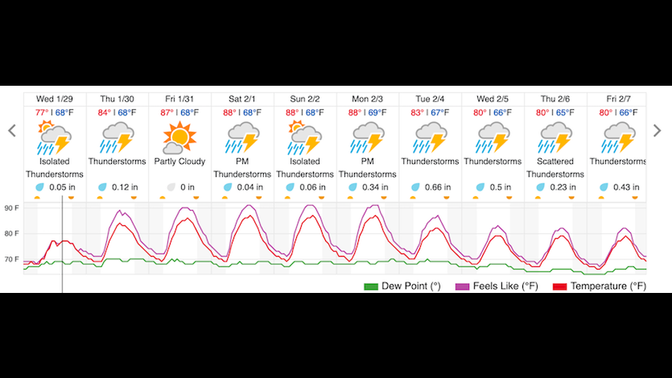 Weather Underground forecast for Belo Horizonte, issued 1/29/20