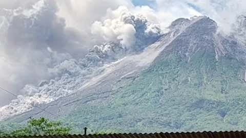 Photographer Humanizes Goats in Beautiful Portraits (PHOTOS) | The ...