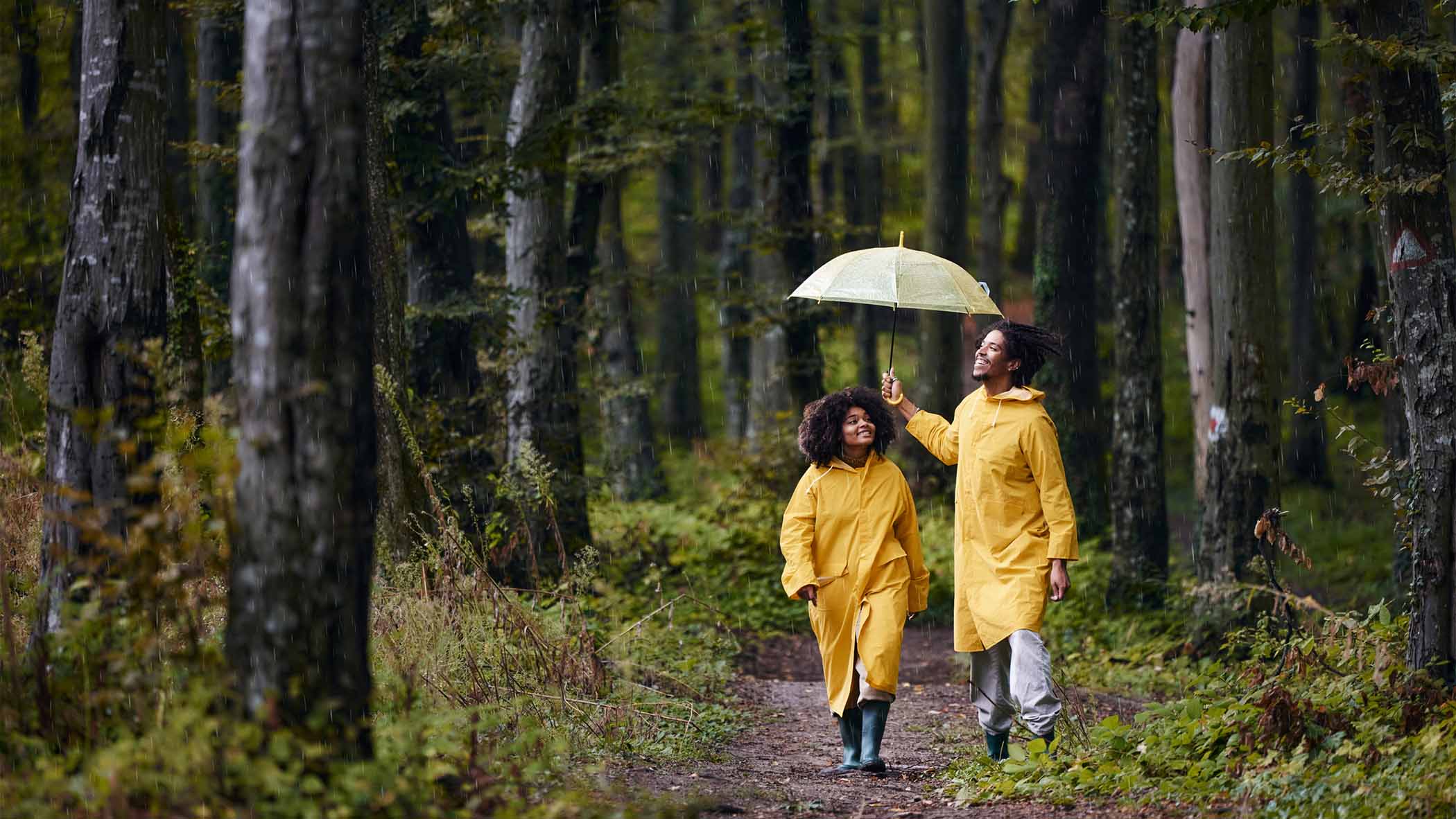 walkinginwoods.jpg