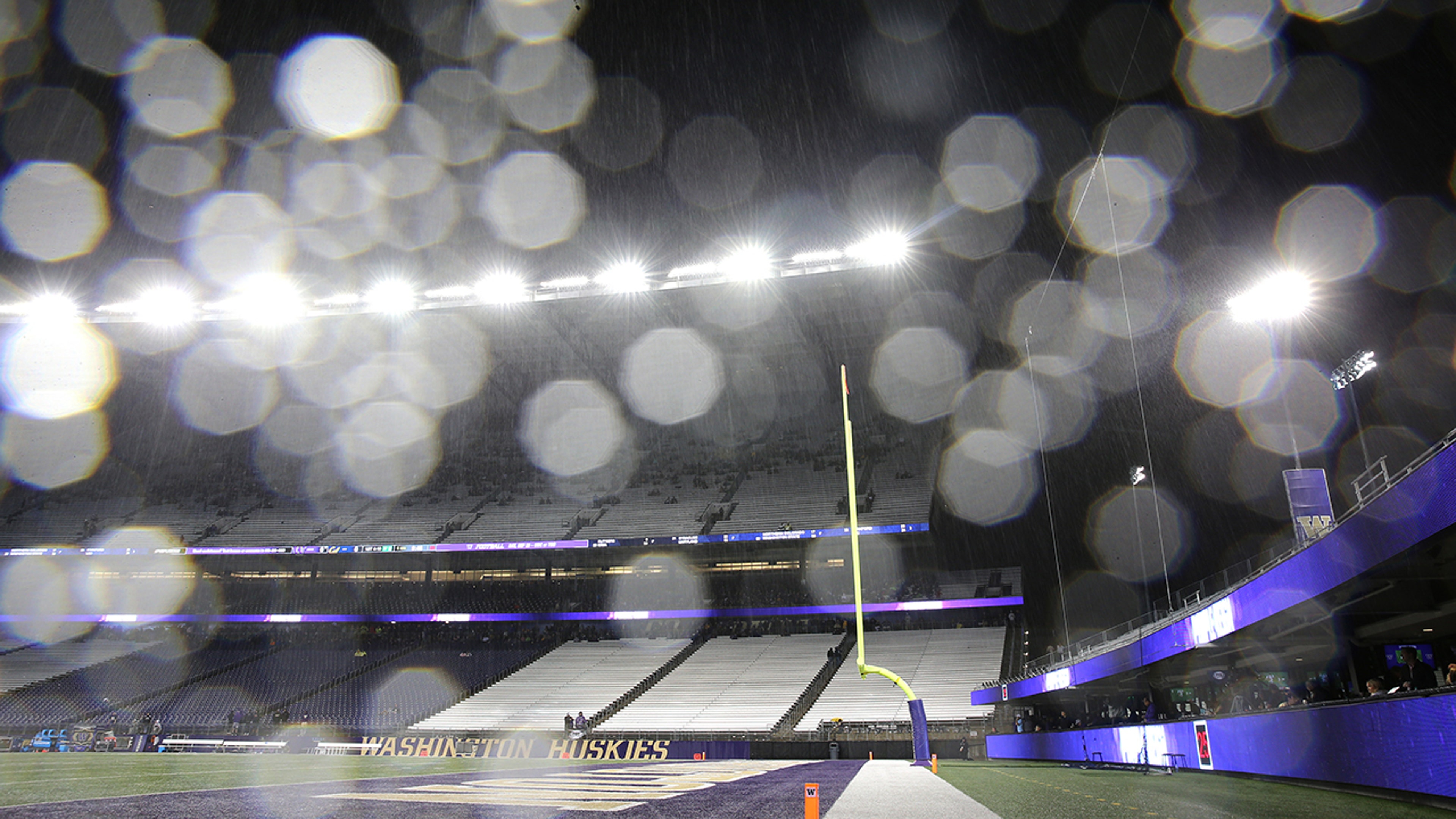 Washington Huskies rain