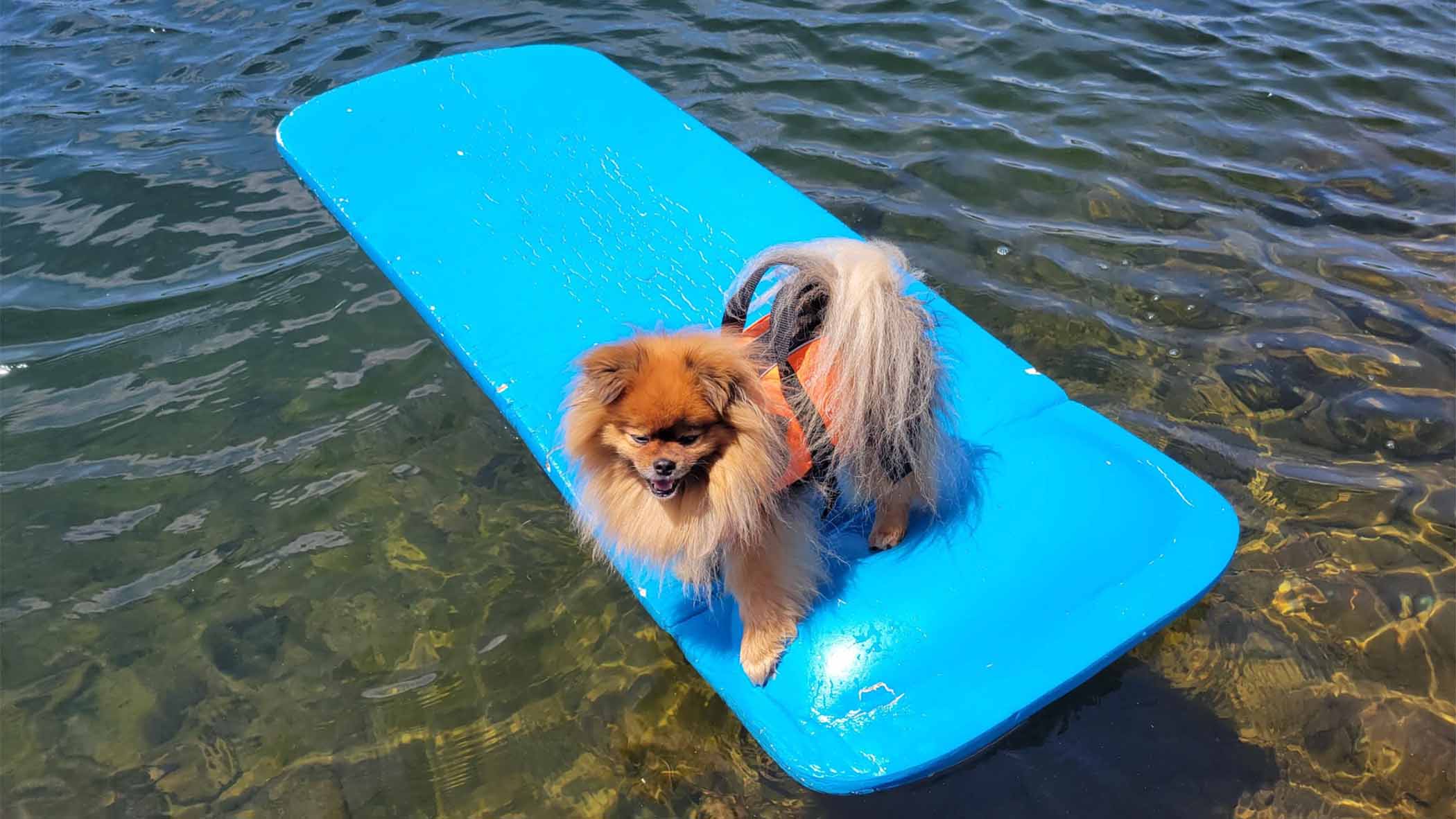 Weather Buddies: 'Nina'