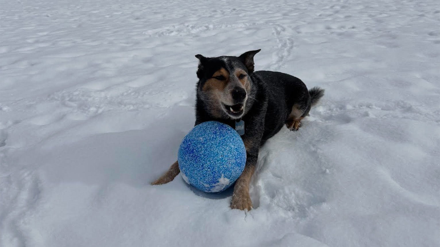 Weather Buddies: 'Marla'