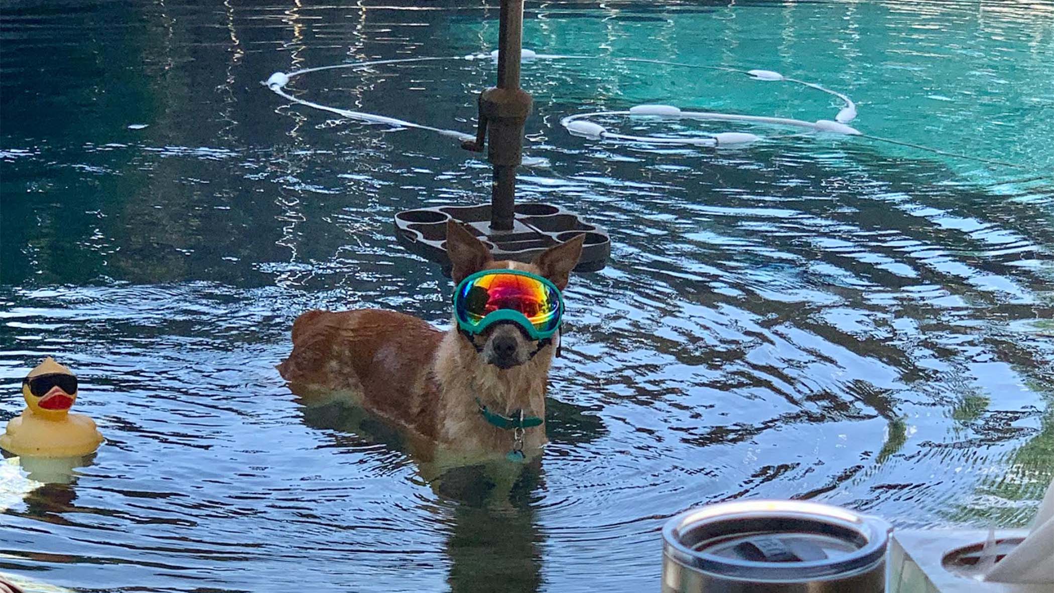 Weather Buddies: 'Maggie'