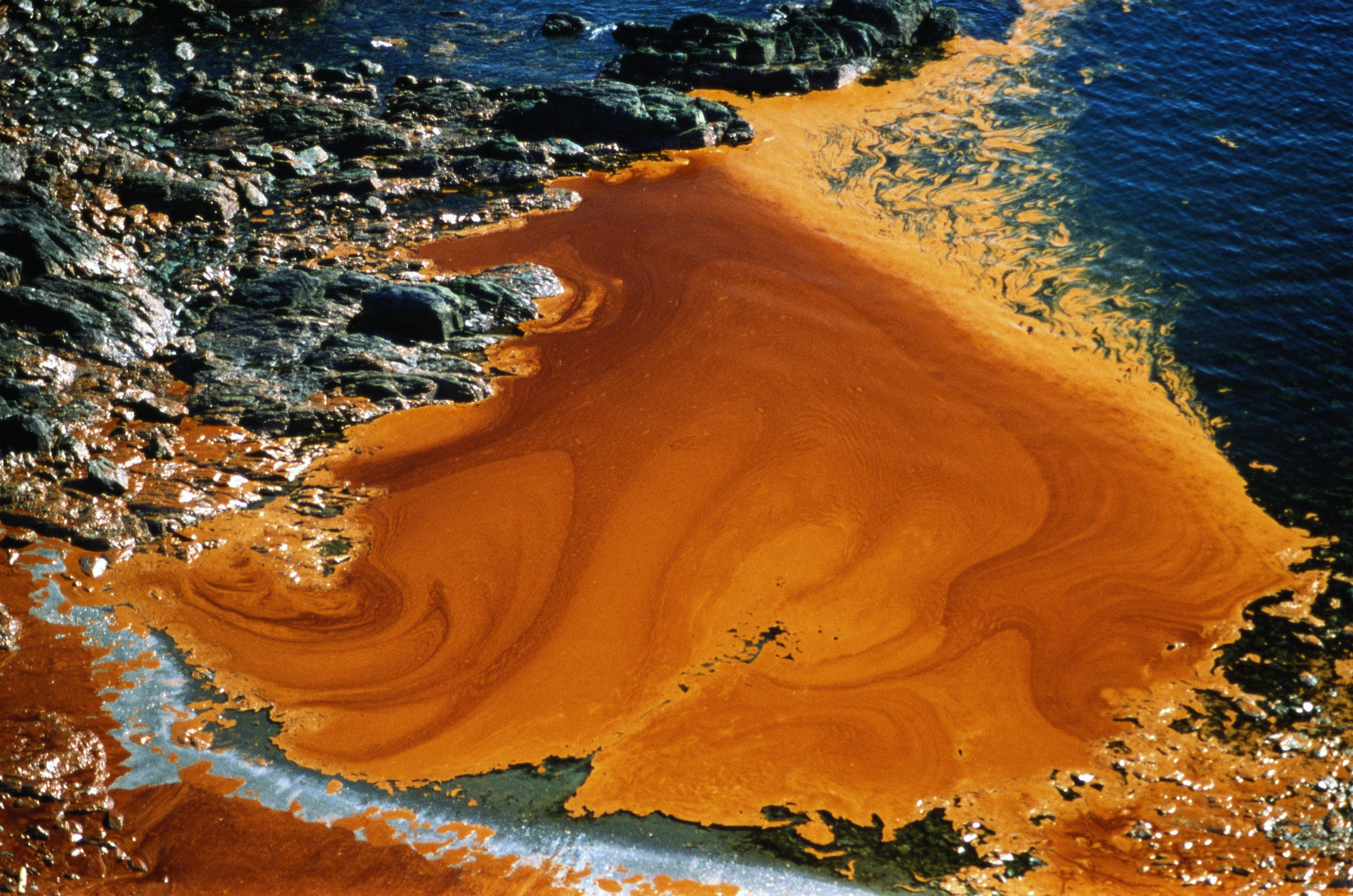 What to Expect from the Oil Spill and How to Protect Your Health