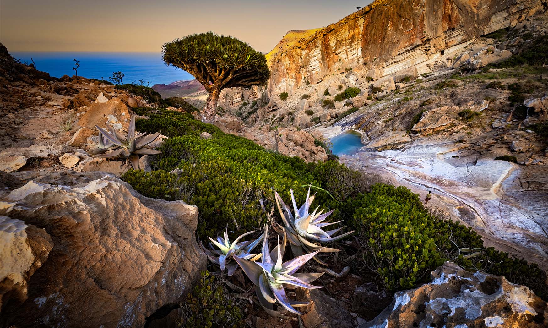 Where In The World Is ... Socotra Island?