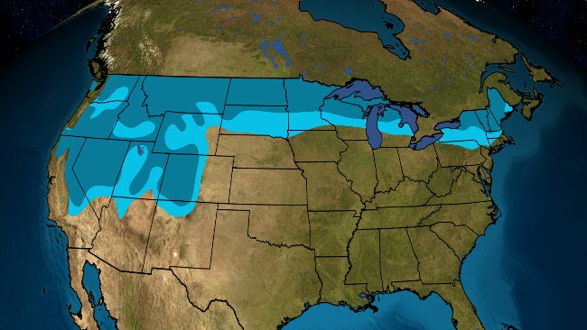 Christmas 2022 Weather For Savanna Il White Christmas Forecast: Here's Where Snow May Be On The Ground This Year  | The Weather Channel - Articles From The Weather Channel | Weather.com