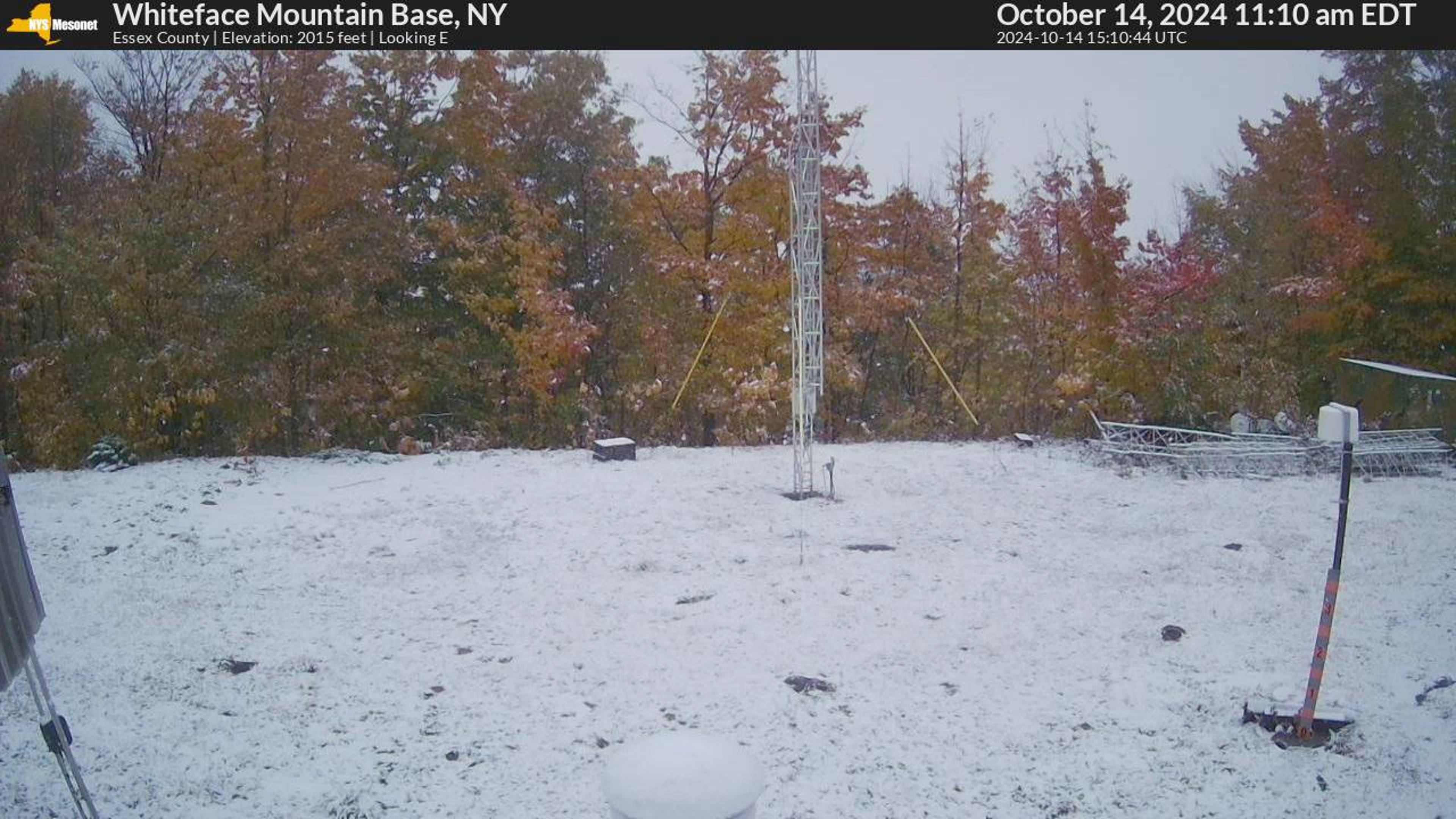 whitefacenymesonet.jpg
