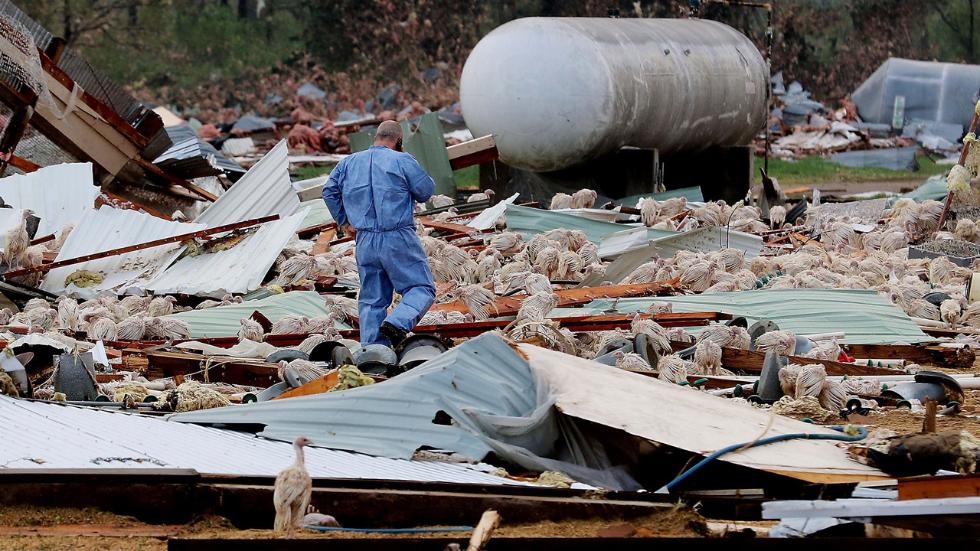 Severe Storms, Tornadoes Kill 3 and Injure Dozens More In the Midwest