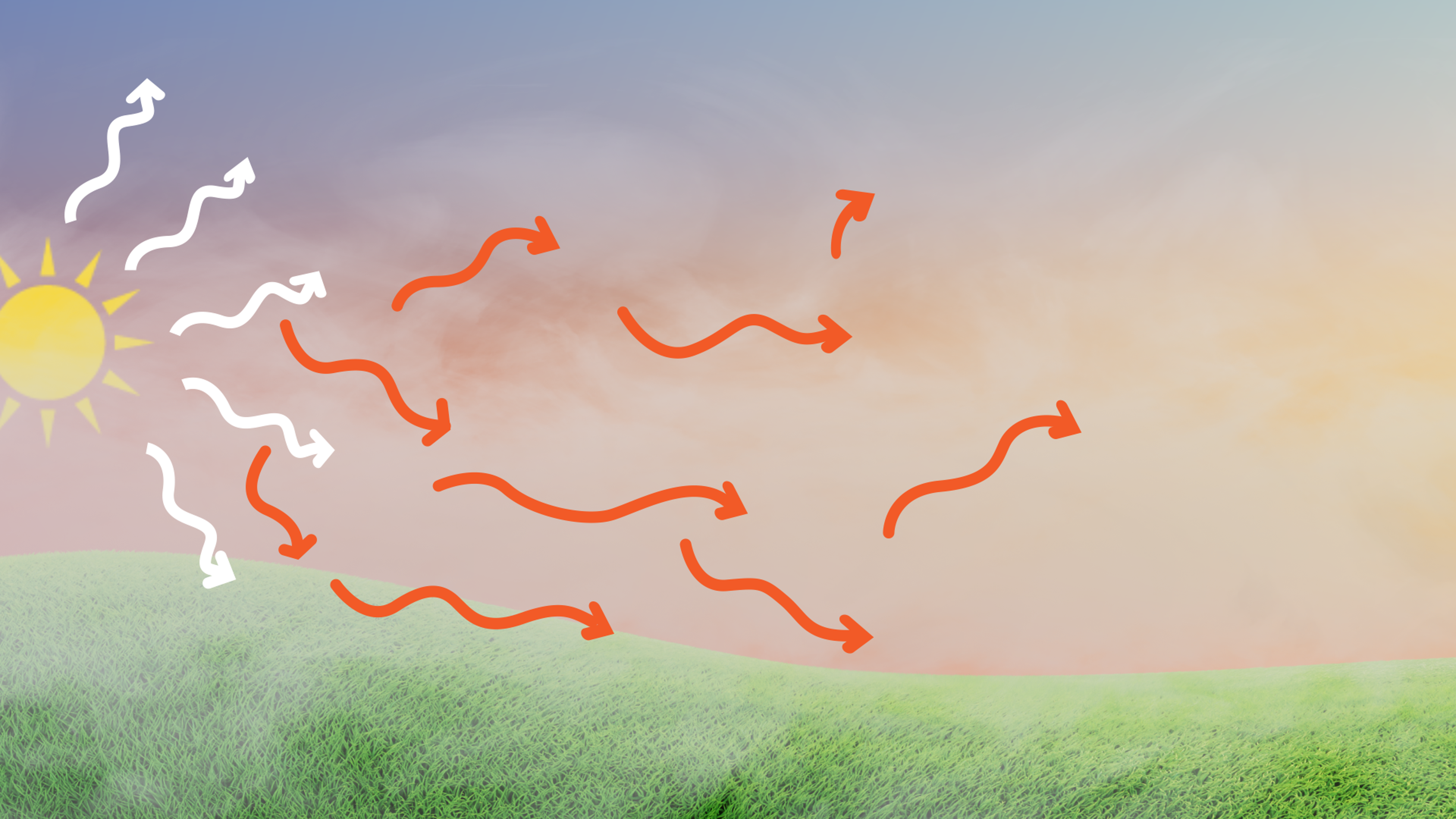 wildfire_smoke_screenshot.png