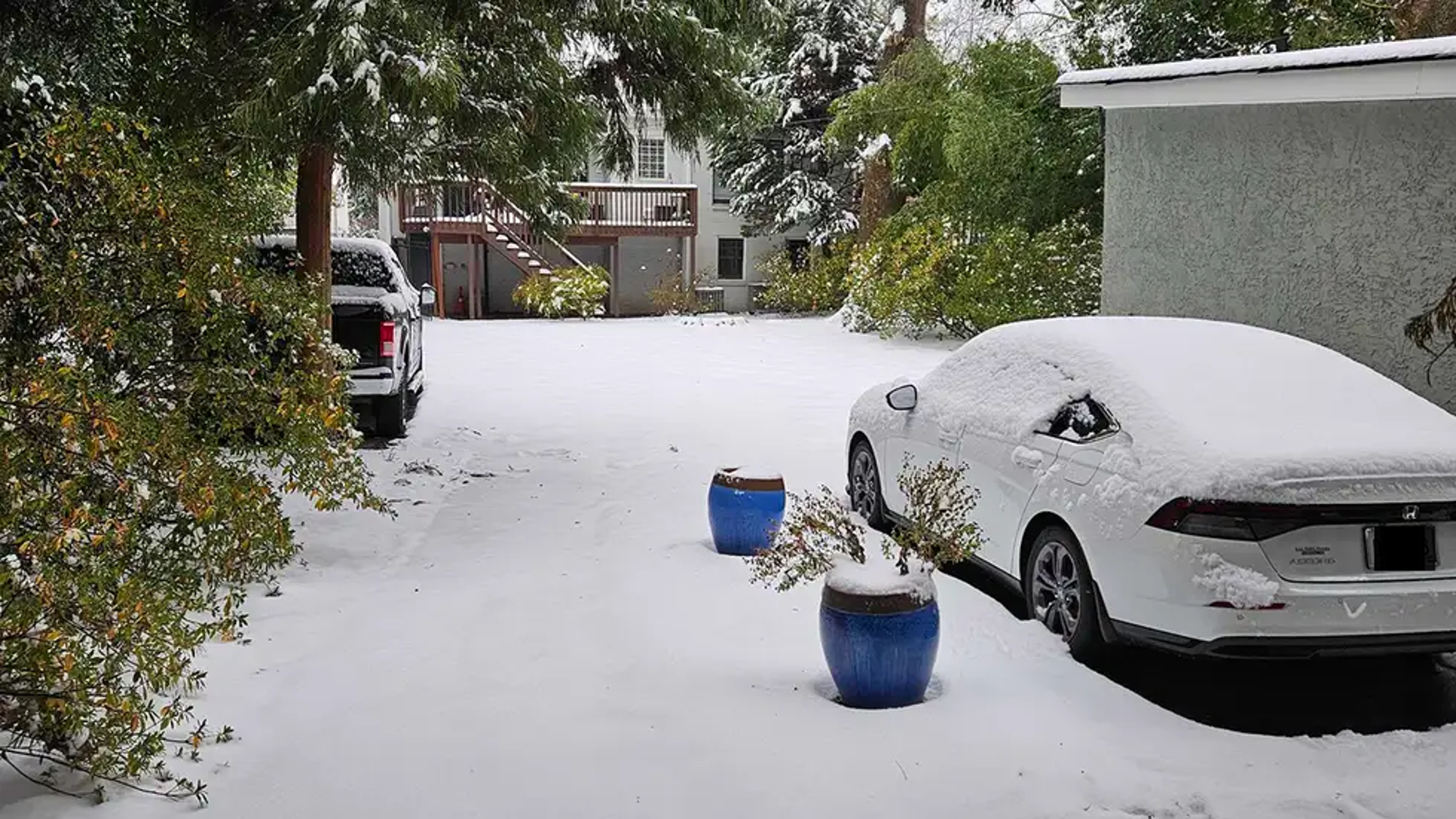 winter_update.png