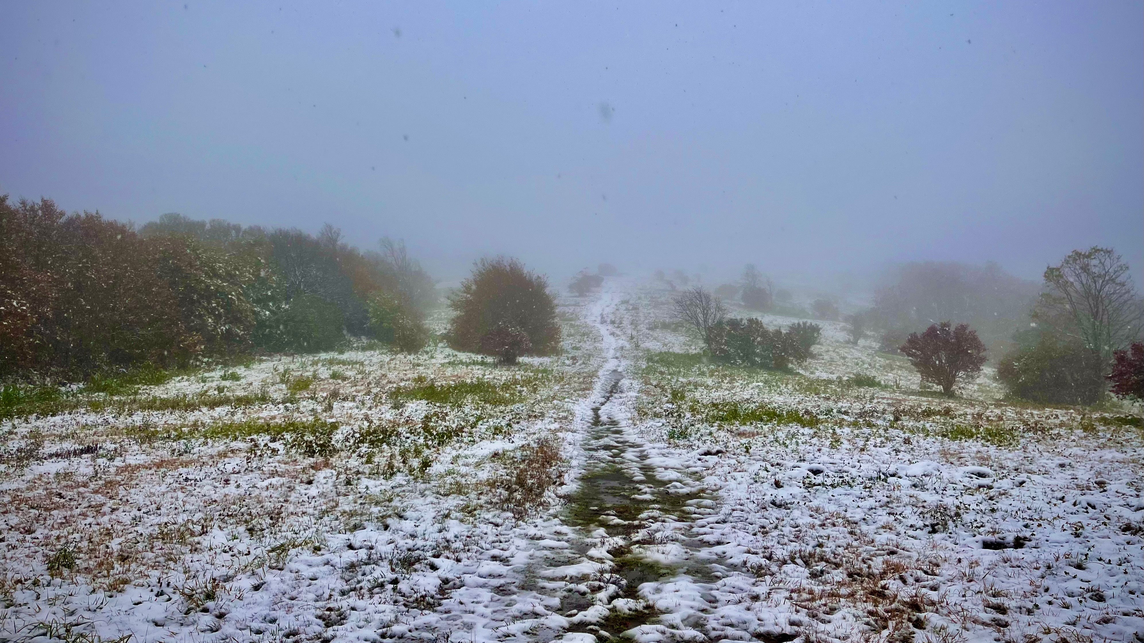 winterrunning.jpg