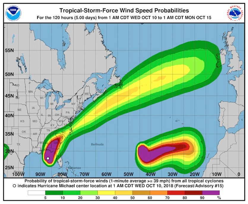 Michael forecast