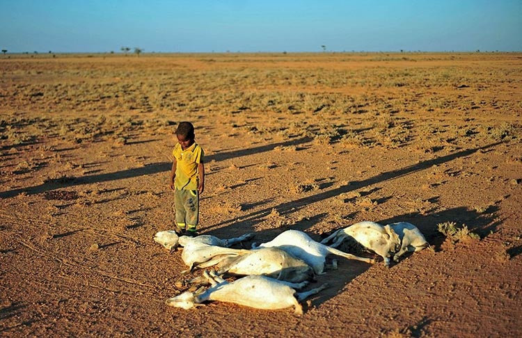 Drought in Somali Drought in Somali