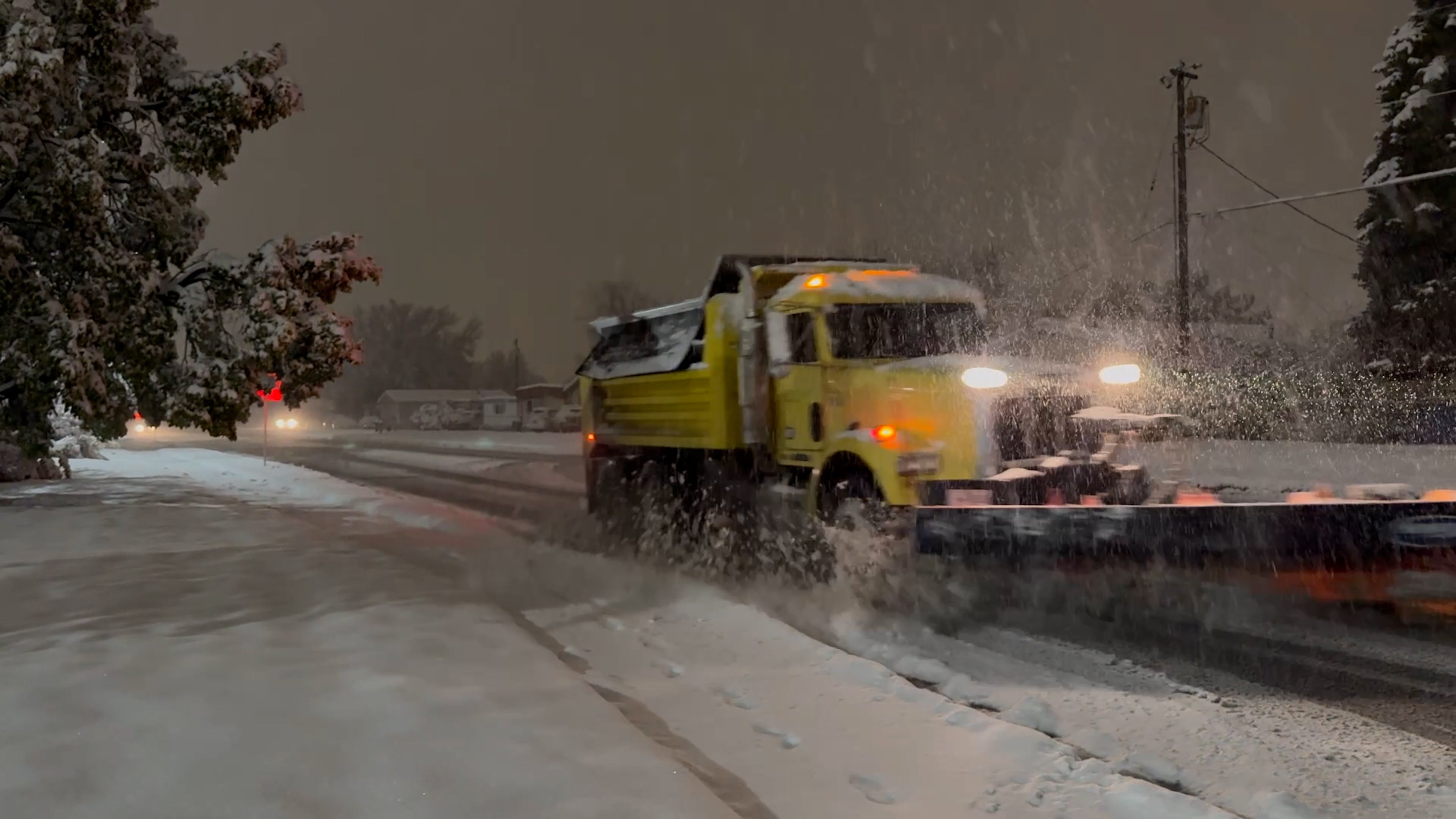 Heavy snow from Rachel's remnants topples trees in Bozeman, Montana