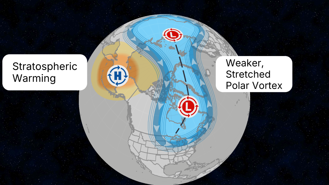Polar vortex forecast