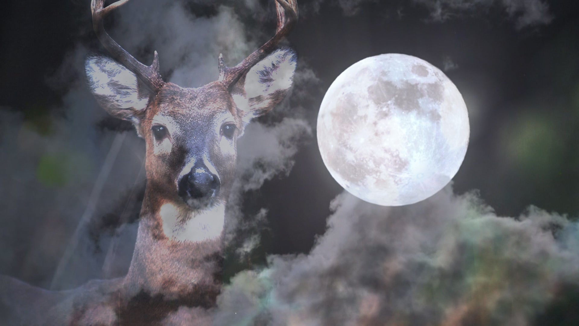 The Buck Moon returns this July: Will you get to see it?