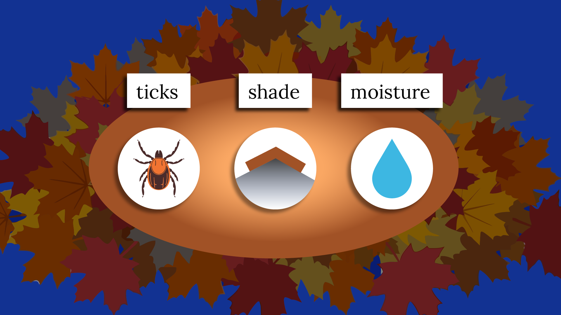 What can hide in your leaf pile