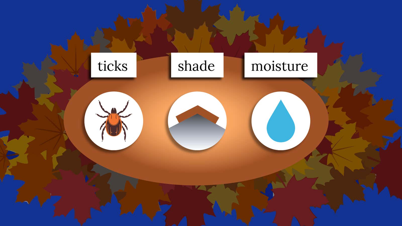 What can hide in your leaf pile