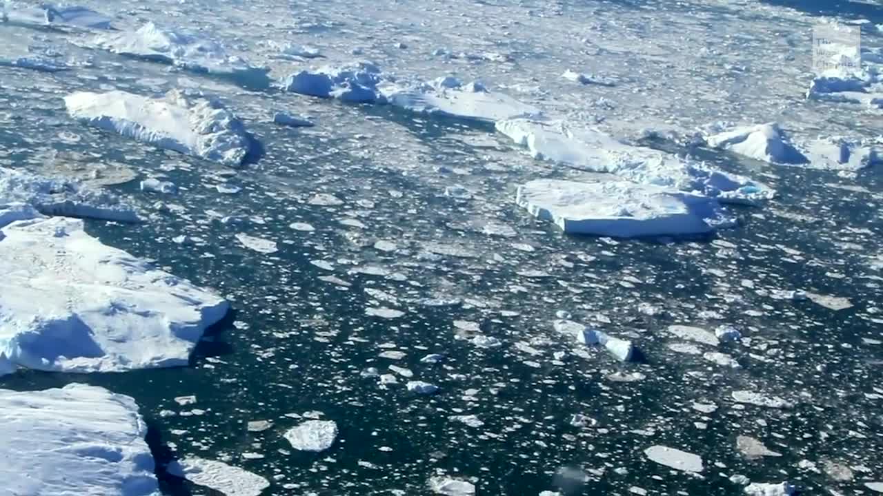 2020 Was Among Warmest Years on Record