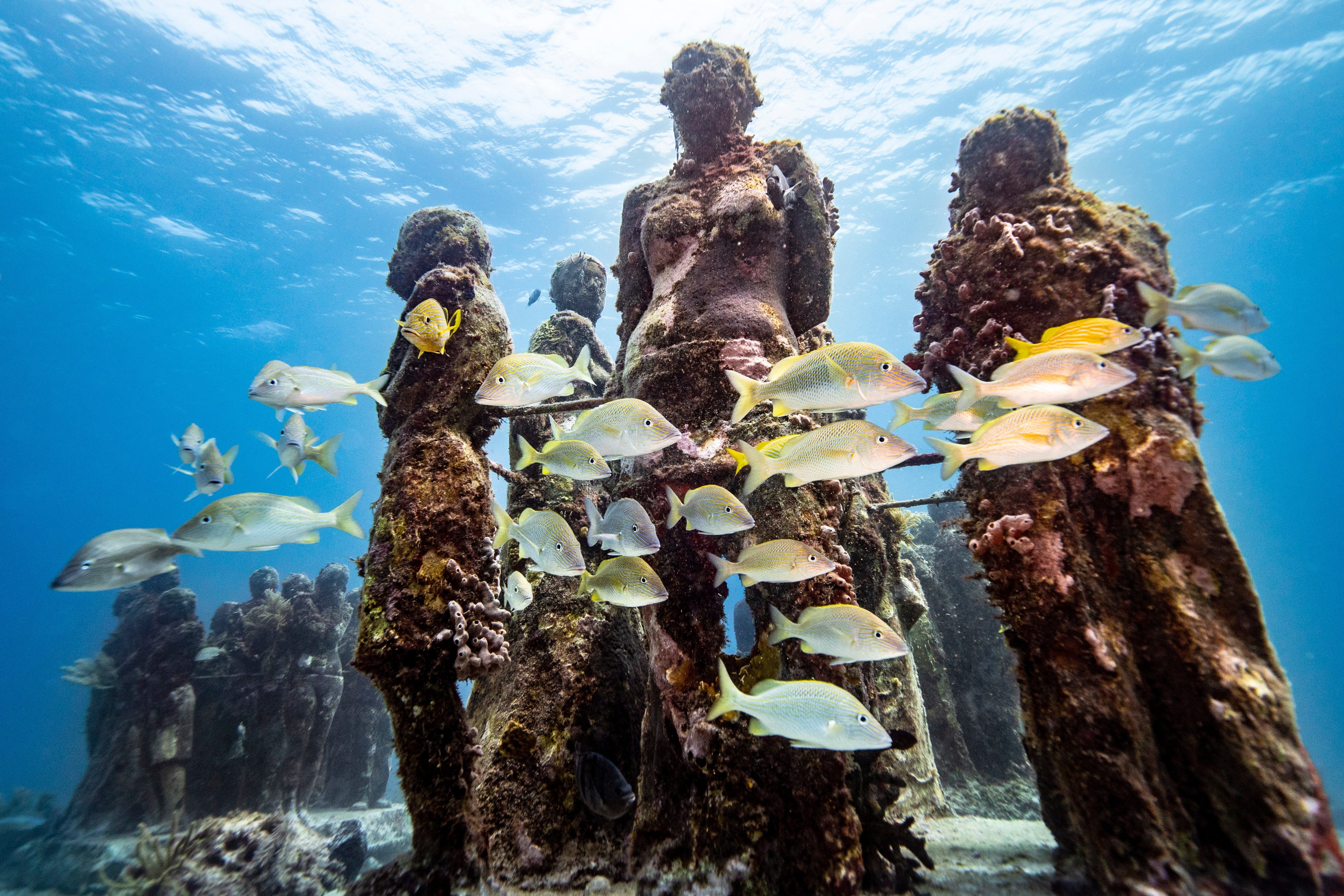 Fish swim among The Silent Evolution sculptures at the Canc&uacute;n Underwater Museum near Isla Mujeres, Mexico.