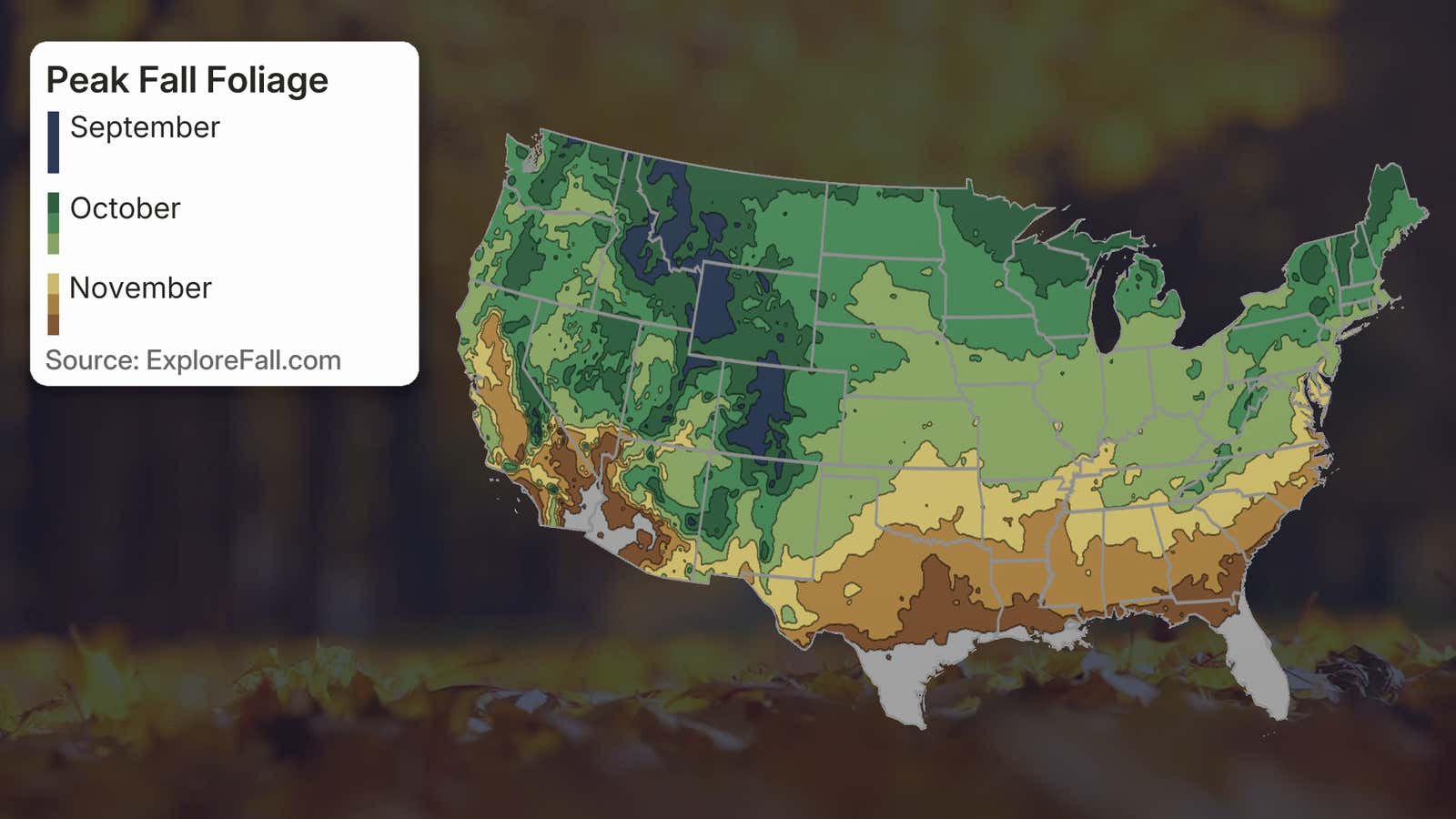 Map of the United States showing peak fall foliage timing by region, color-coded for September, October, and November