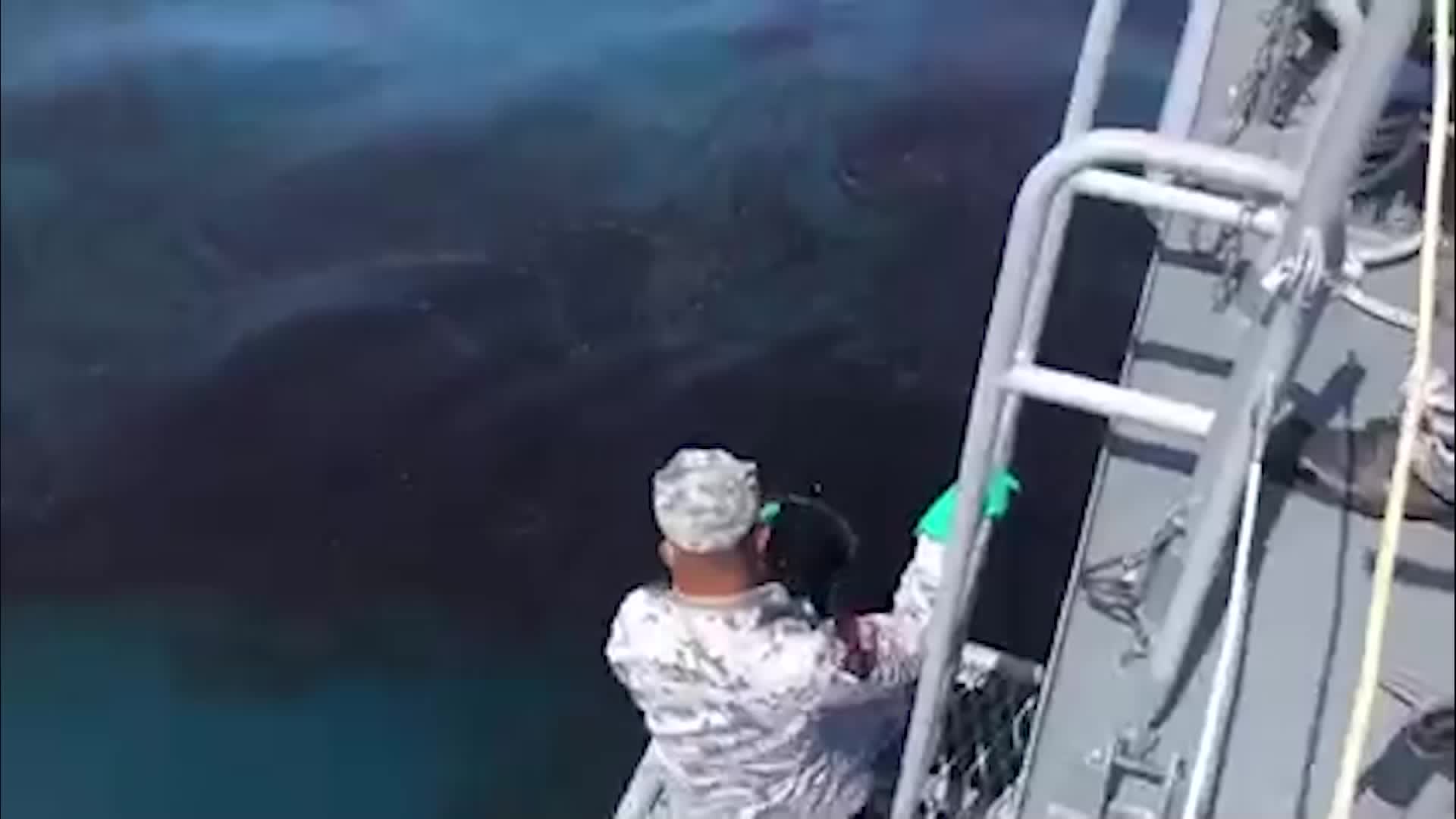 42k Gallons Leaked From Underwater Pipeline