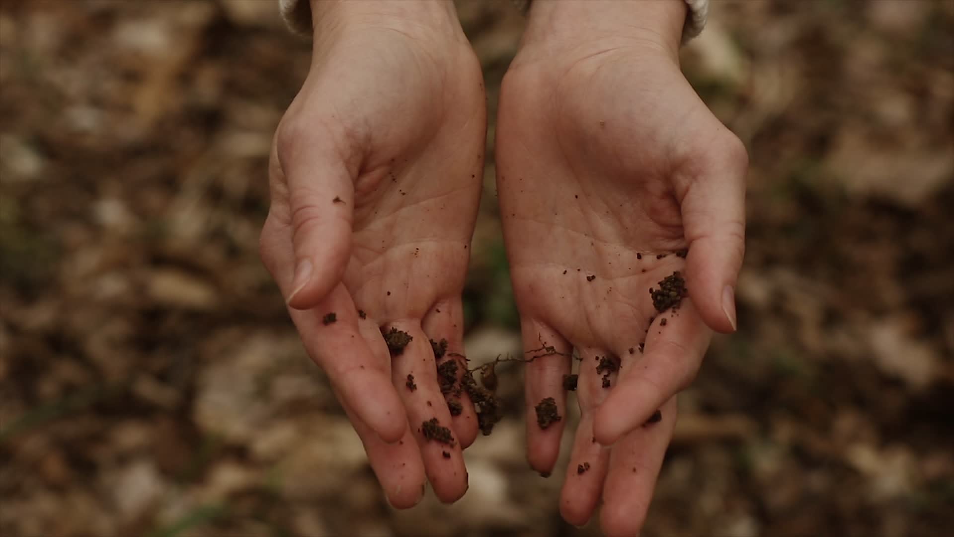 5 Big Things We’ve Seen Since the Last Earth Day