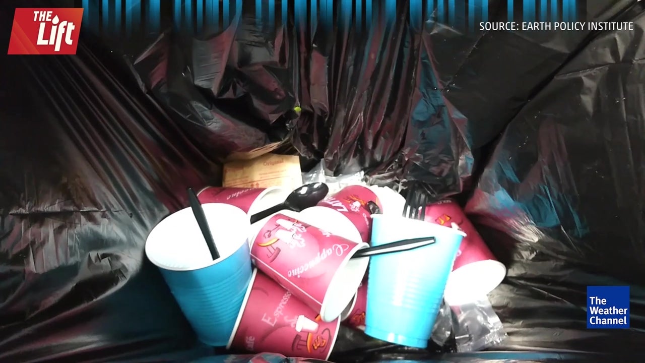 5 Facts that will Make you Want to Recycle
