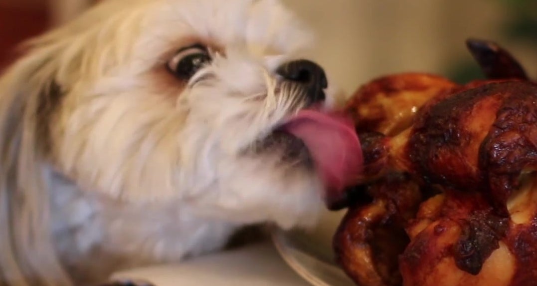 5 Holiday Foods to Avoid Giving Pets