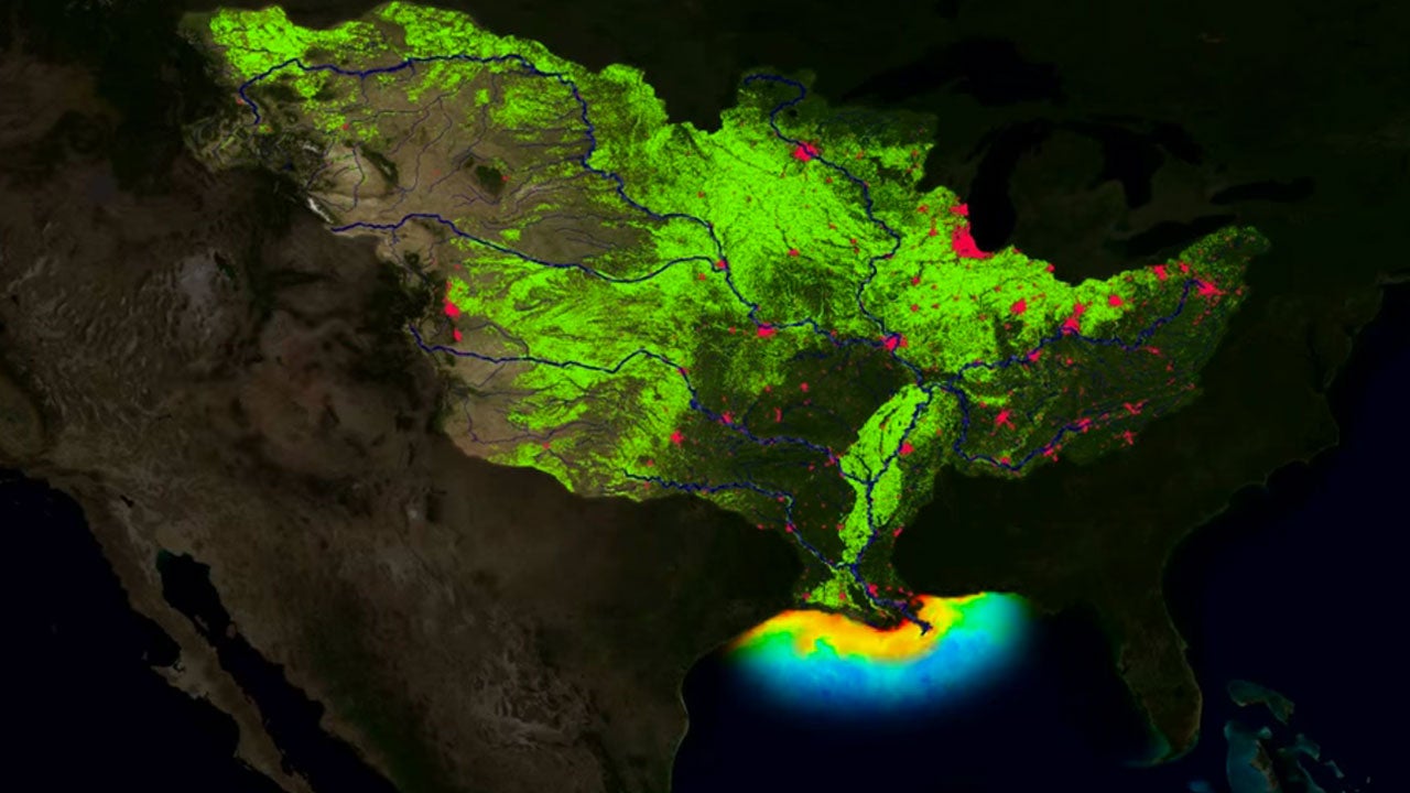 5,898 Square Mile Dead Zone Predicted to Form in Gulf of Mexico