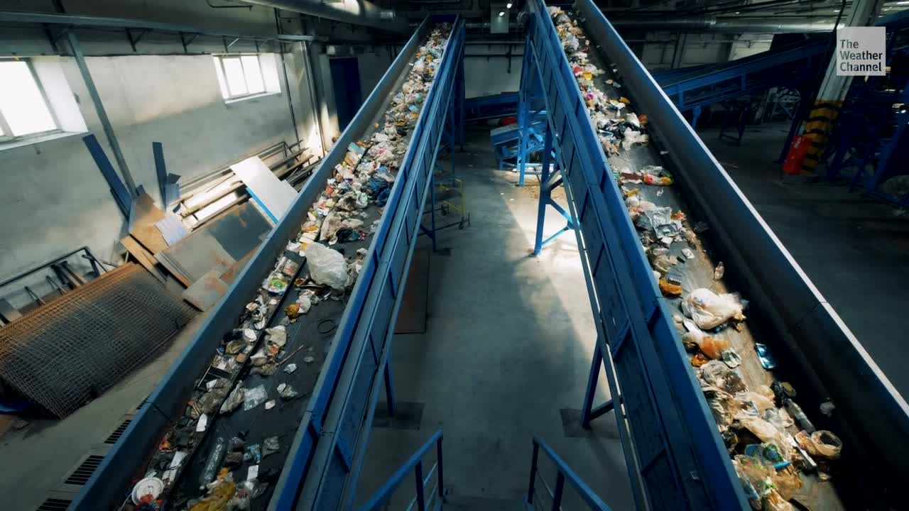 6 Things You’re Probably Recycling Wrong