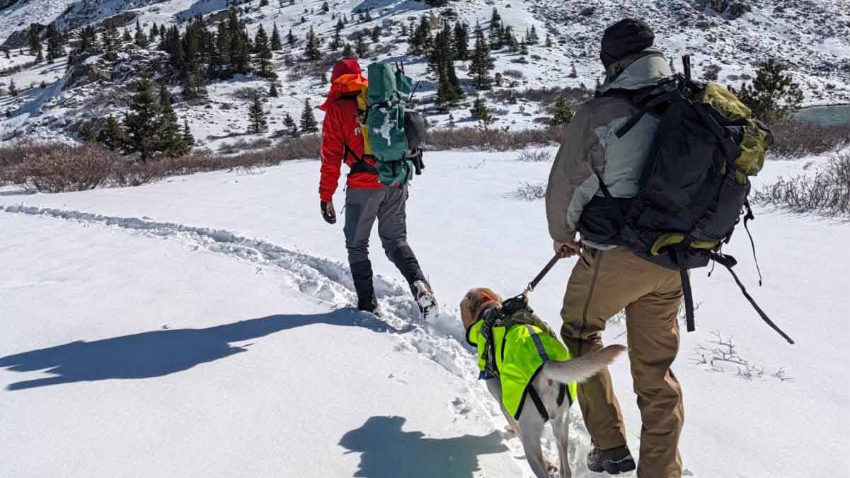 Two backpackers with a leashed dog in a neon vest hike through snowy mountain terrain.