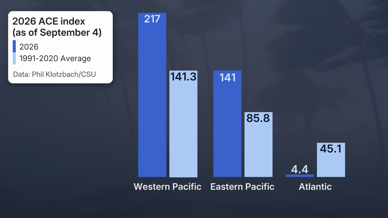 ACE season-to-date