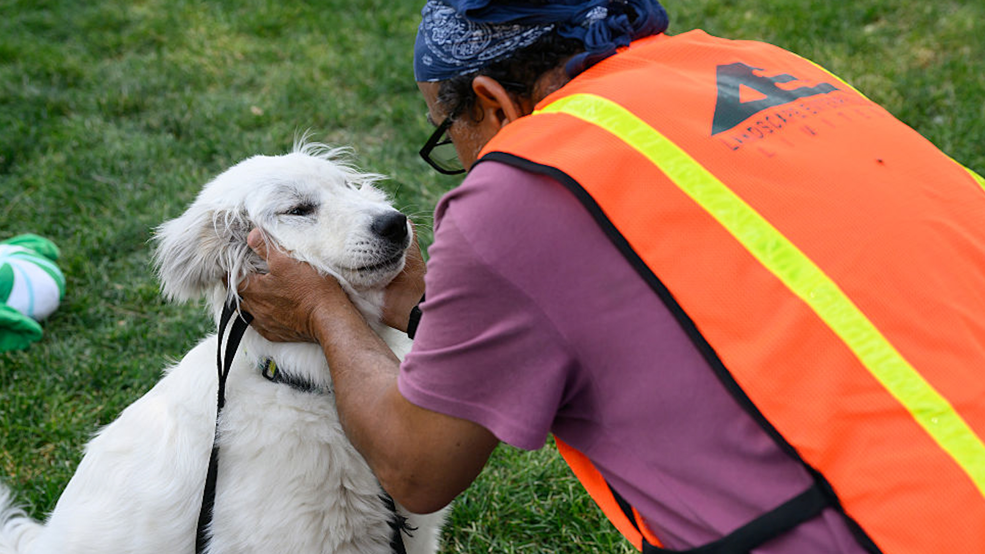 Hundreds of pets rescued from Aspen Acres Fire