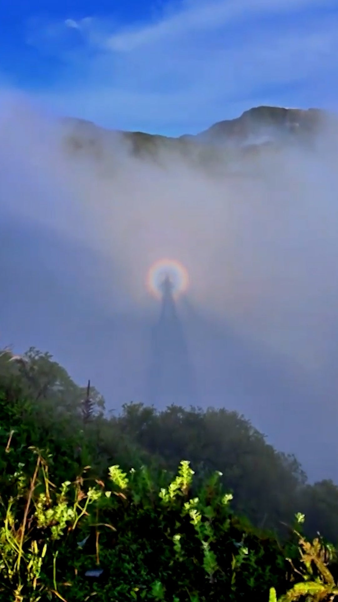 'Buddha's Light' halos hiker's shadow
